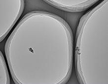 上海易微信息科技 超薄碳膜技術的創新與應用